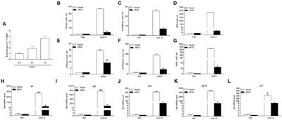 Grass Carp Reovirus VP35 Degrades MAVS Through the Autophagy Pathway to Inhibit Fish Interferon Production